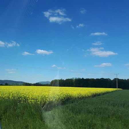 Agroturystyka "Jagap" Oaza Spokoju Dzierżoniów Екстериор снимка