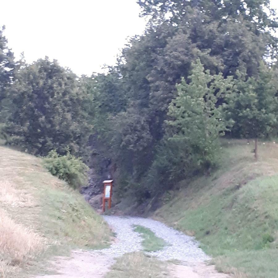 Agroturystyka "Jagap" Oaza Spokoju Dzierżoniów Екстериор снимка