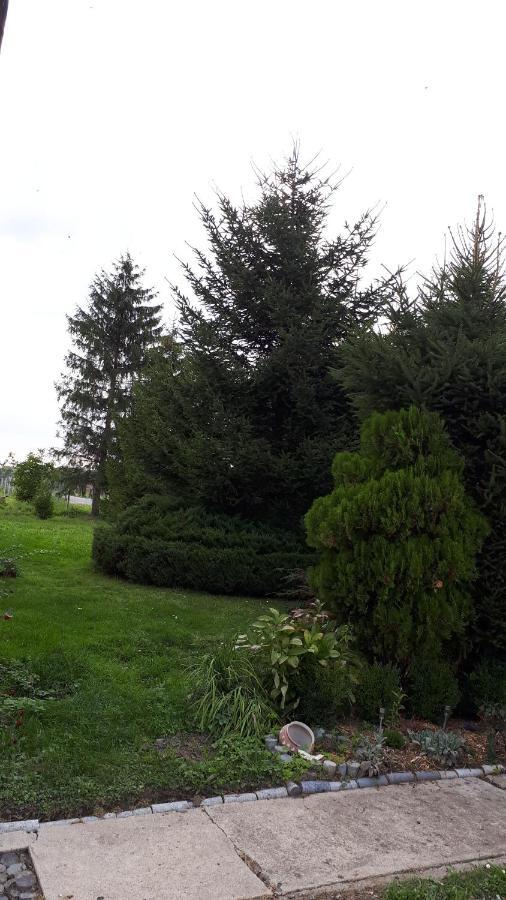 Agroturystyka "Jagap" Oaza Spokoju Dzierżoniów Екстериор снимка